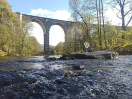 Flöha (Hohenfichte)