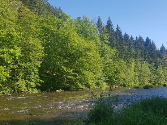 Flöha (Hohenfichte)-4