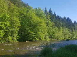 Flöha (Hohenfichte)-4