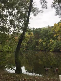 Bürgergartenteich (Döbeln)