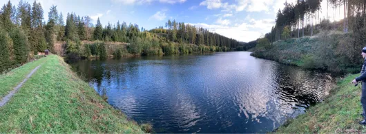 Unterer Spiegeltaler Teich-2