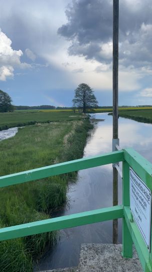 Rögnitz (Woosmer)-4