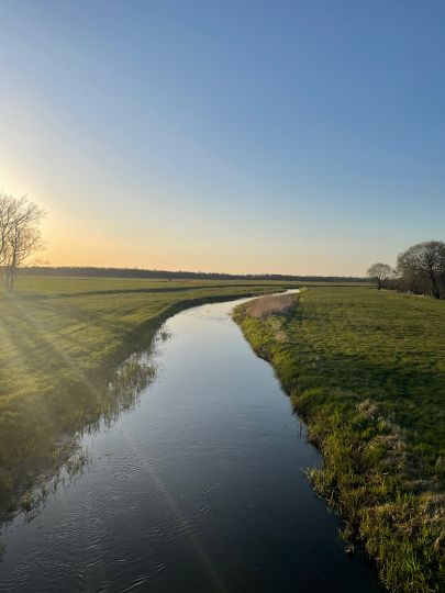 Rögnitz (Woosmer)-3