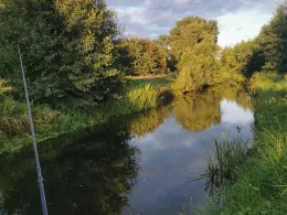 Rögnitz (Woosmer)-1