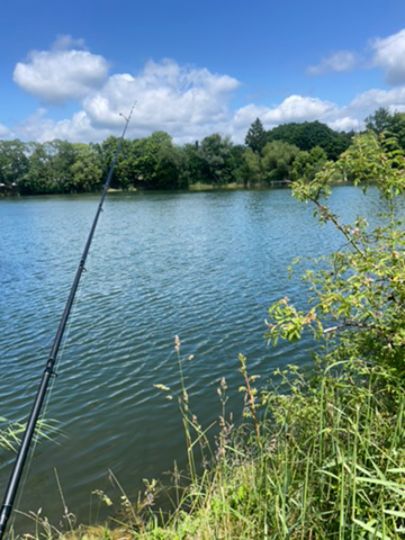 Kleiner Stich (Klein Mutz)-2