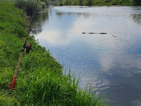 Lippe (Schermbeck)-3