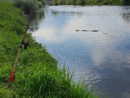 Lippe (Schermbeck)-3