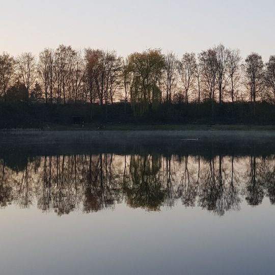 Bahnsee (Langenfeld) angeln