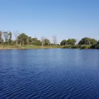 Augustateich (Gröbzig)-2