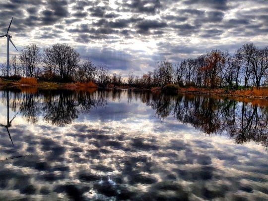 Augustateich (Gröbzig)