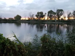 Augustateich (Gröbzig)-1