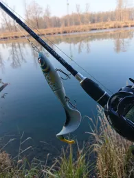 Berger Altwasser (Zaisering)-1