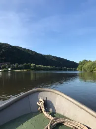 Main (Stadtprozelten)