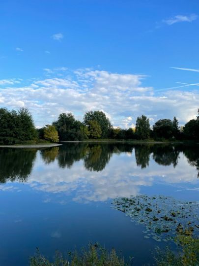 Seemoorteich Knesebeck-1