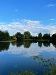 Seemoorteich Knesebeck-1