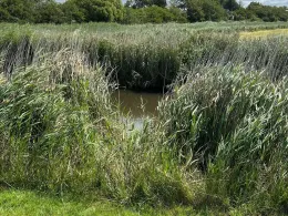 Ordinger Sielzug (Brosum)