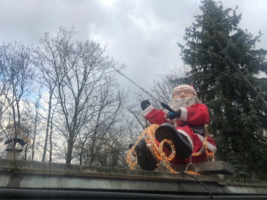 Waldsee (Leverkusen-Hitdorf)-2