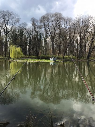 Schloßteich Rötha-1