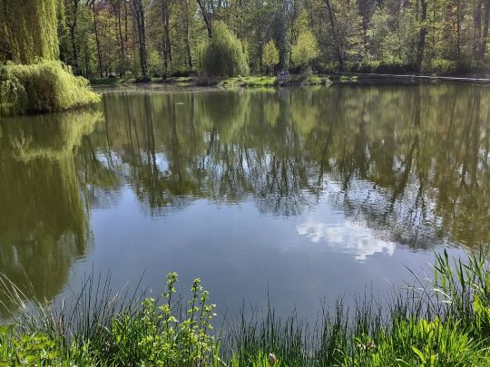 Schloßteich Rötha-3