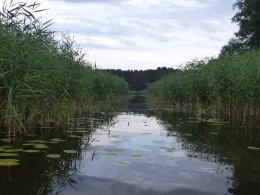 Großer Lottschesee-1