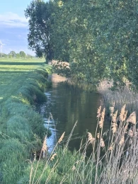 Fuhse (Eicklingen)-2