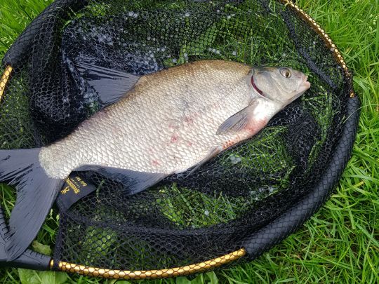 Teich am schwarzen Berg (Stade)-1