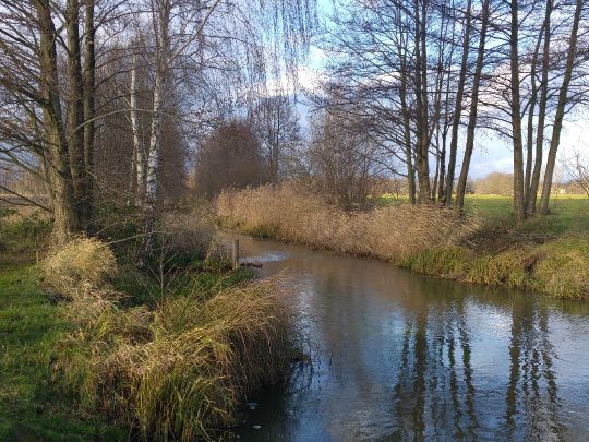 Priorgraben (Cottbus)-2