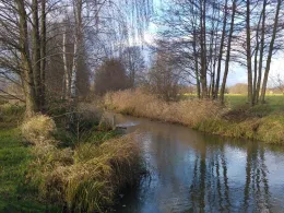 Priorgraben (Cottbus)-2