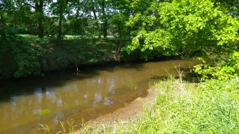 Priorgraben (Cottbus)-4