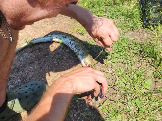 Angelteich Auleben-3