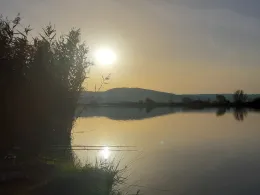 Angelteich Auleben-1