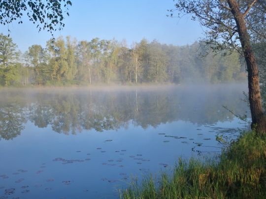 Waldseen ASV Hanau-3