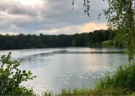 Waldseen ASV Hanau-4