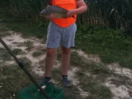 Waldseen ASV Hanau-2