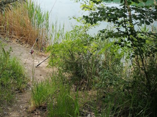 Kaolingrube (Tagebau Frieden)-1