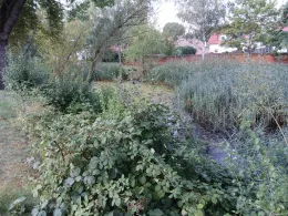 Dorfteich Beyersdorf-2