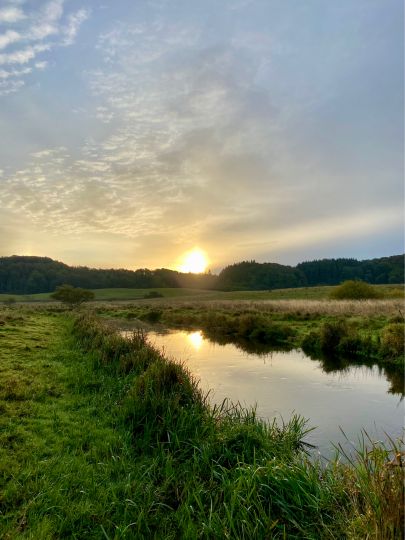Vejle River-0