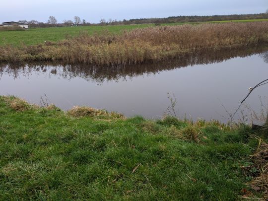 Schwarzer Strom (Leck)