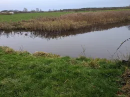 Schwarzer Strom (Leck)