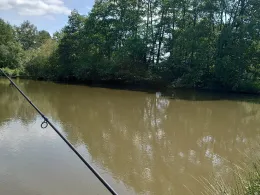 Viehbachweiher (Herschbach)