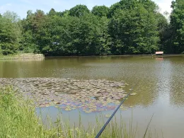 Viehbachweiher (Herschbach)-1