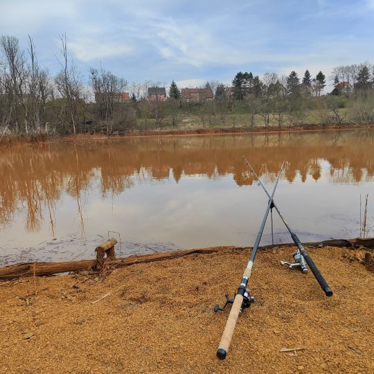 Luthers Linde (Muldenstein)-1