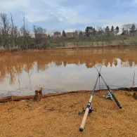 Luthers Linde (Muldenstein)-1