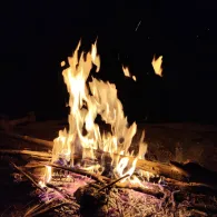 Luthers Linde (Muldenstein)-3