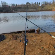 Luthers Linde (Muldenstein)