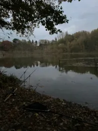 Luthers Linde (Muldenstein)-4