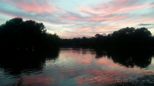 Schwanenteich (Mühlhausen)-2