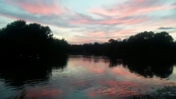 Schwanenteich (Mühlhausen)-2