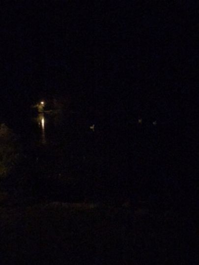 Schwanenteich (Mühlhausen)-4