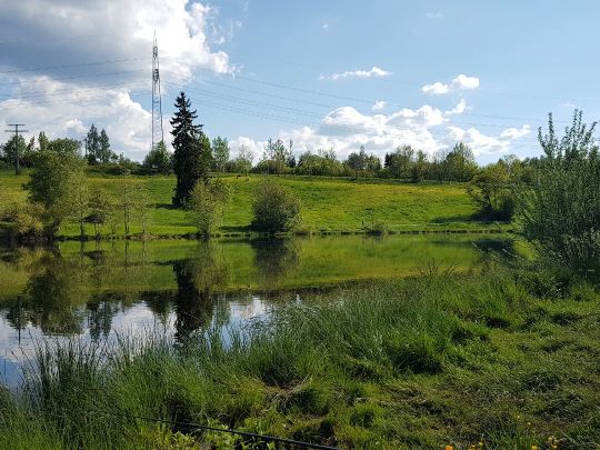 Sticher Weiher (Oy - Mittelberg)-4